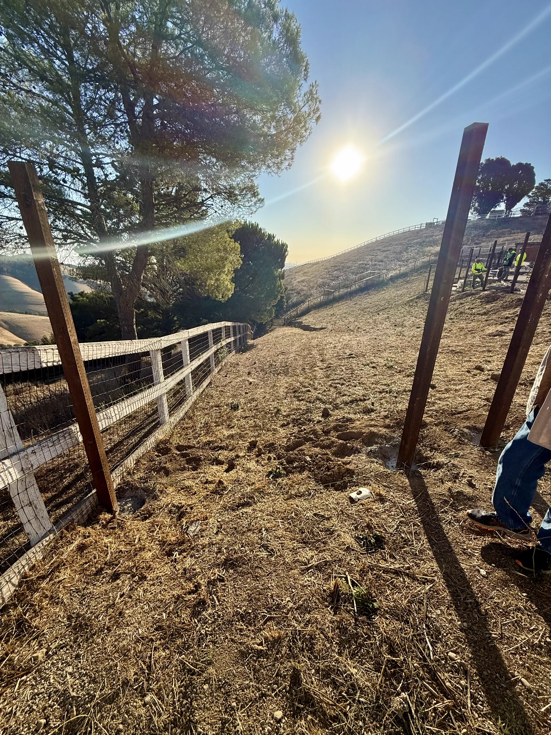 Gate and Fence — Image 4