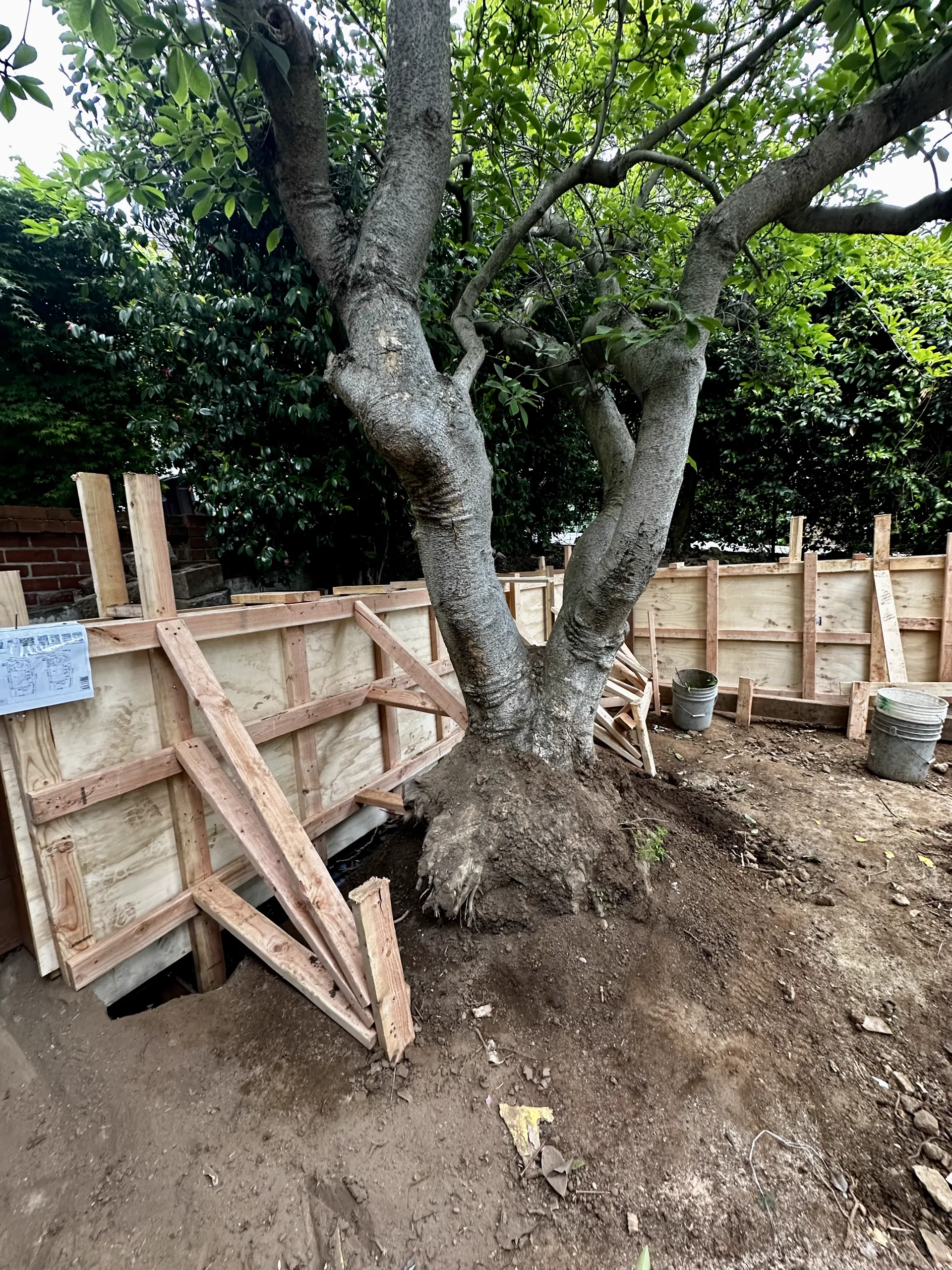 Hardscaping and Deck Remodeling — Image 10