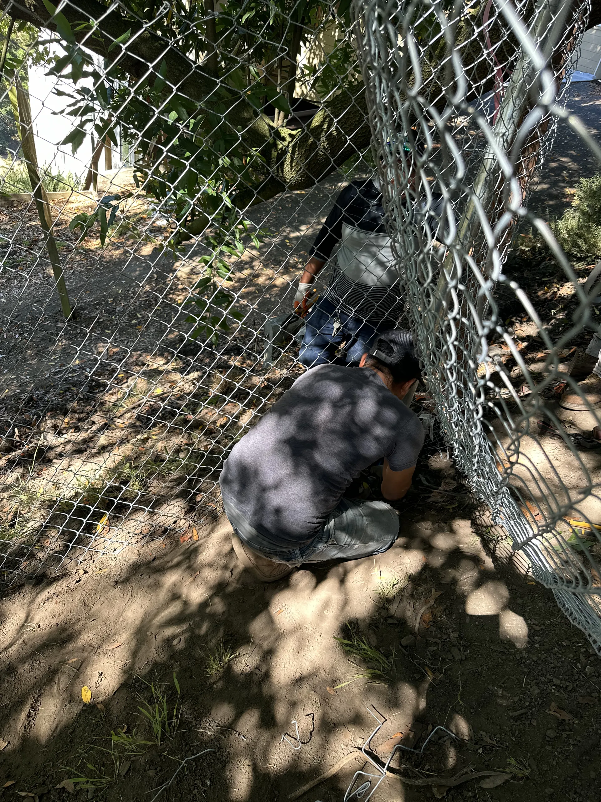 Gate and Fence — Image 16