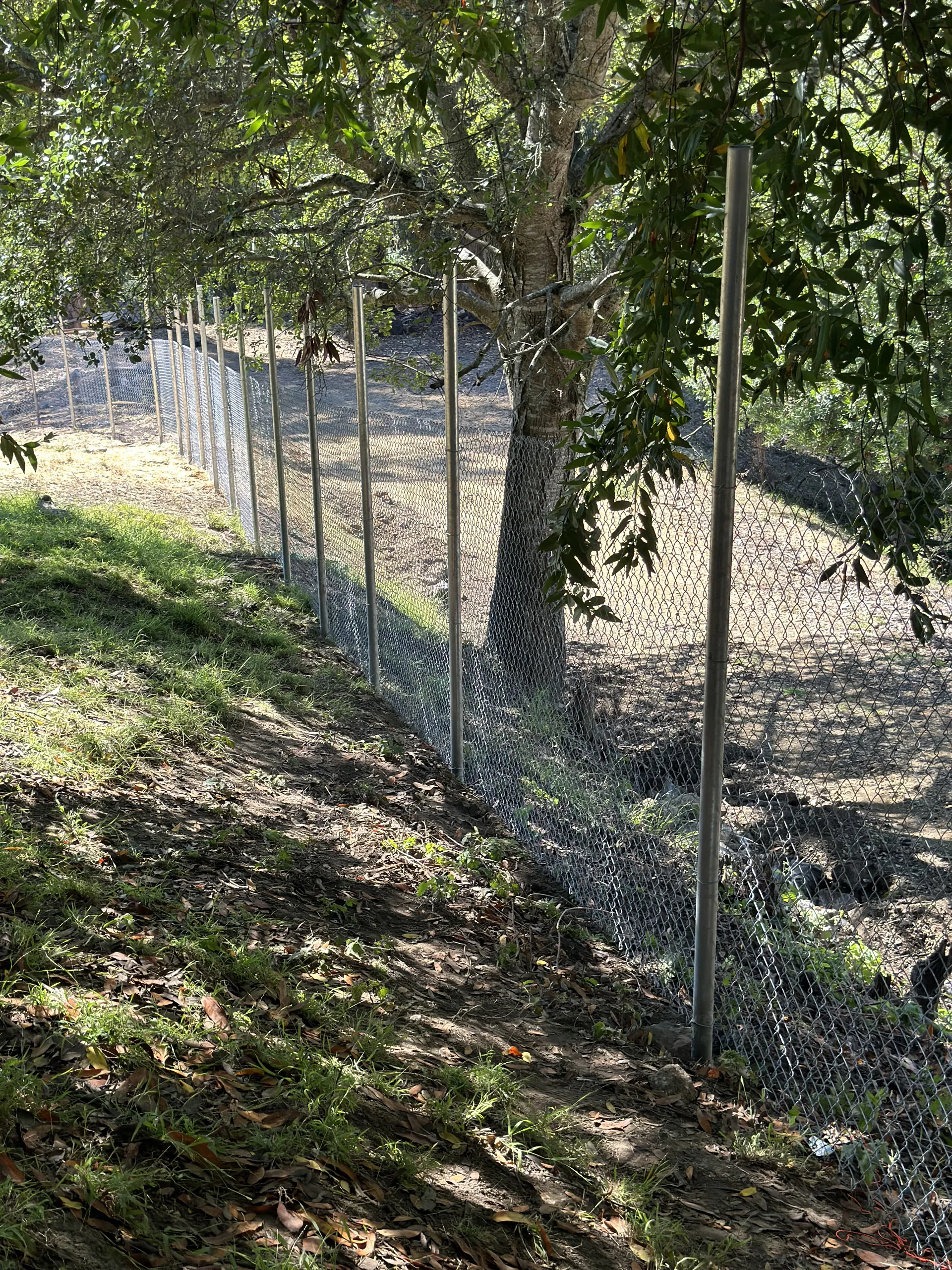 Gate and Fence — Image 17