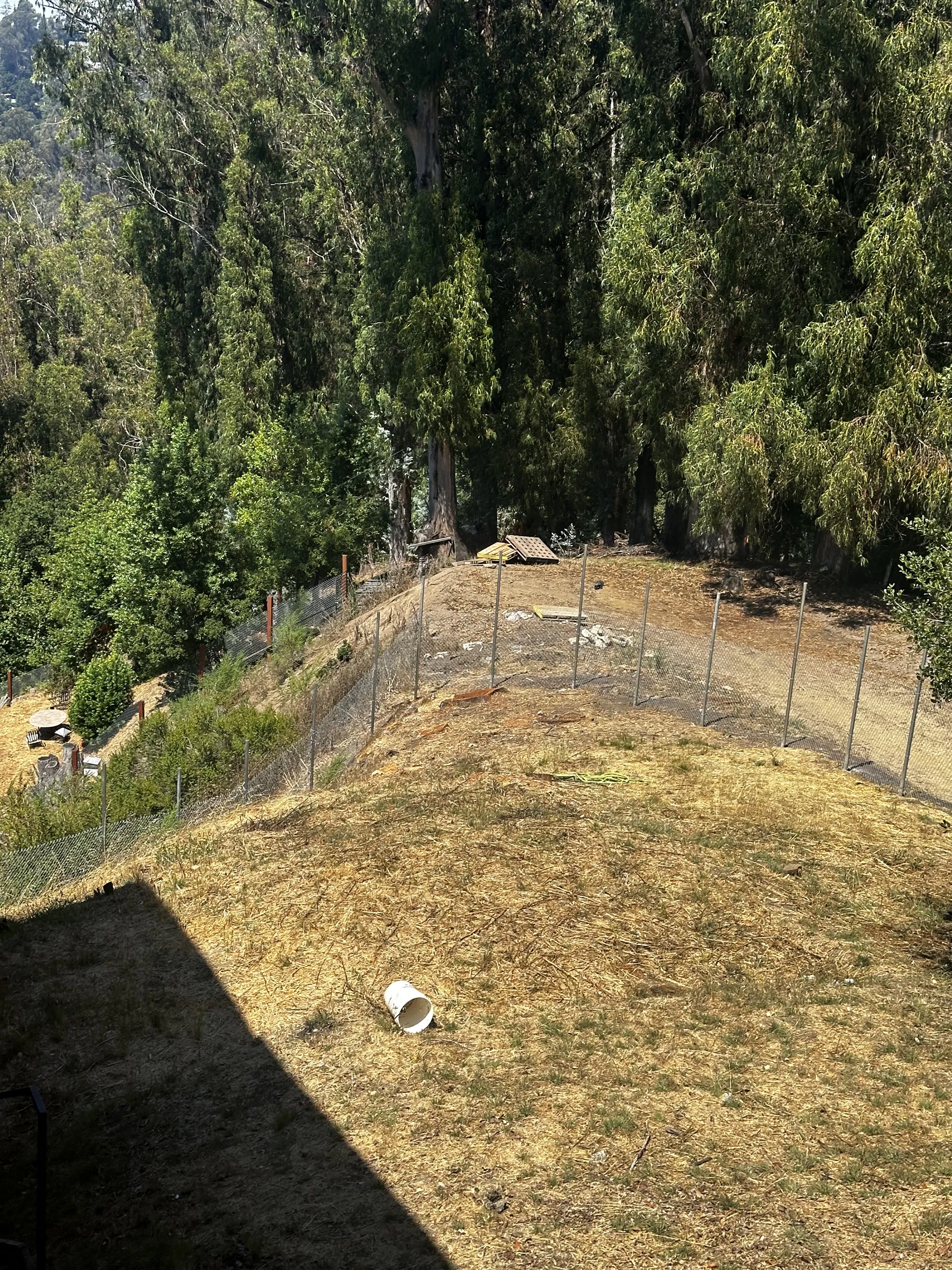 Gate and Fence — Image 18