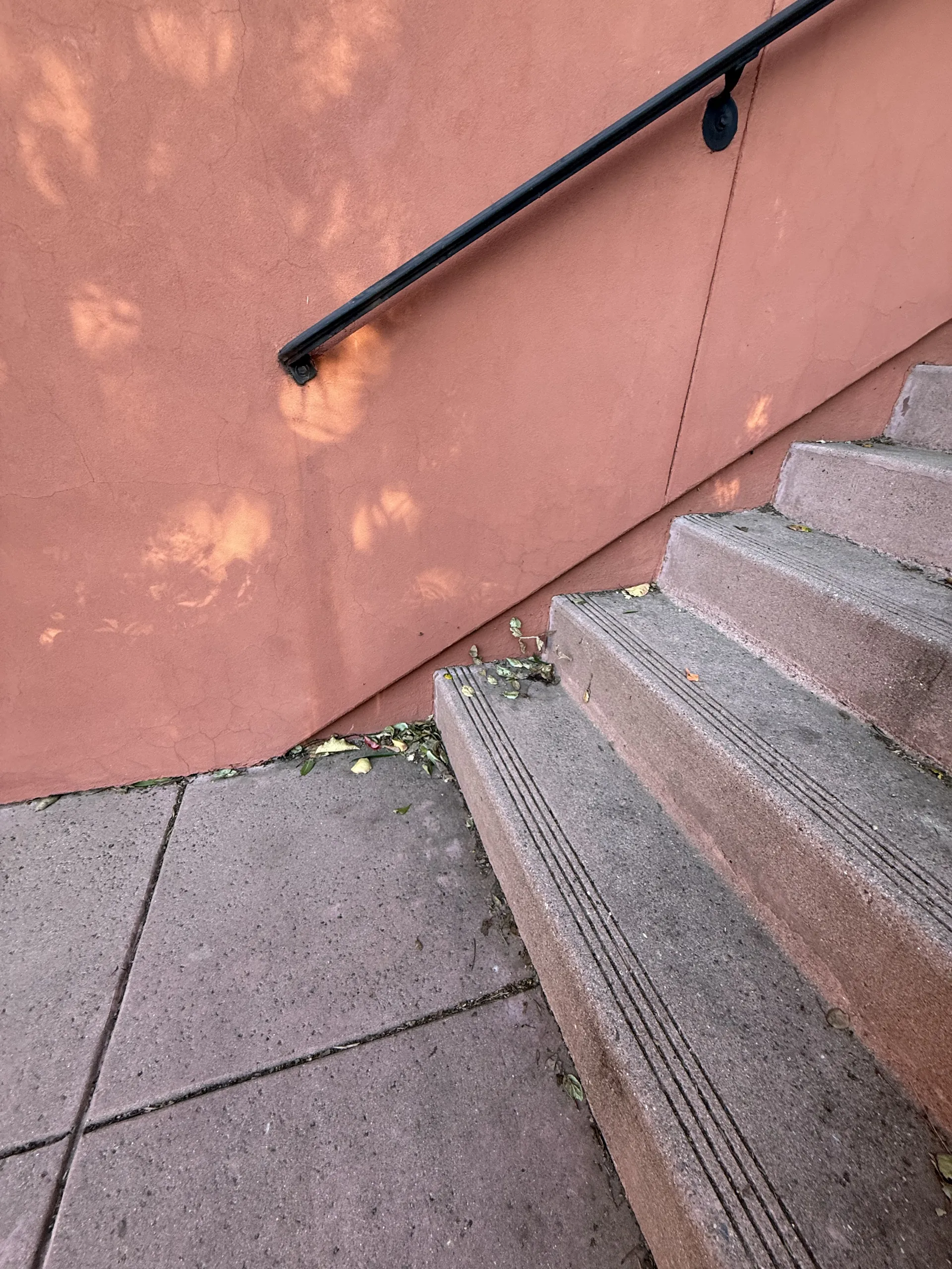 Gate and Fence — Image 3